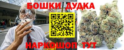 сатива Новодвинск