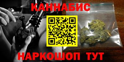 сатива Новодвинск