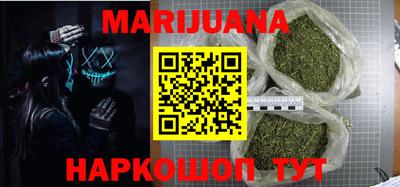 сатива Новодвинск