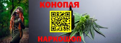 дмт Новокубанск
