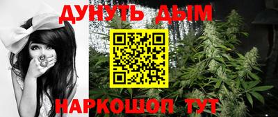 сатива Новодвинск