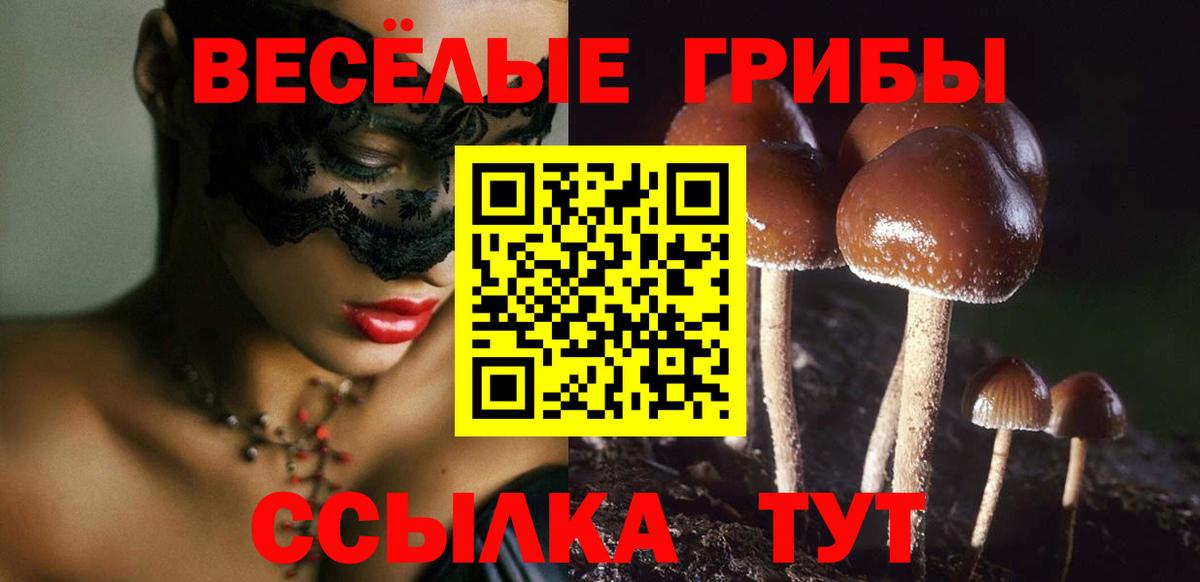 Псилоцибиновые грибы GOLDEN TEACHER Топки